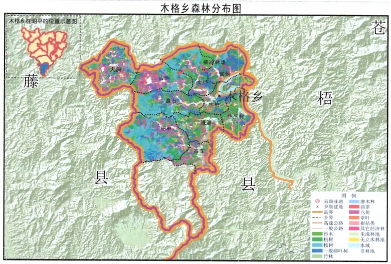 490a7f1df1234c41 “木格乡森林分布图”
